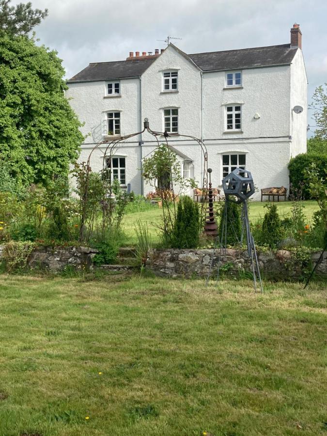 Art House B & B Raglan Bagian luar foto