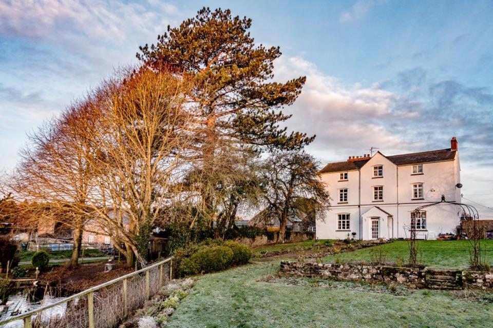 Art House B & B Raglan Bagian luar foto