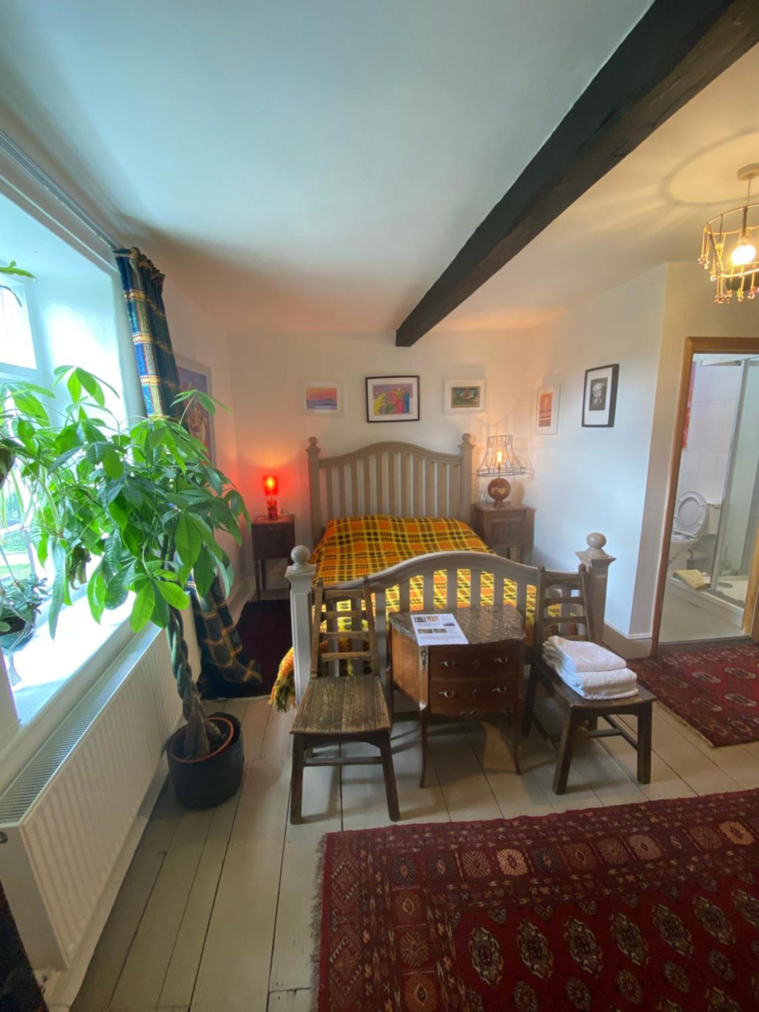 Art House B & B Raglan Ruang foto